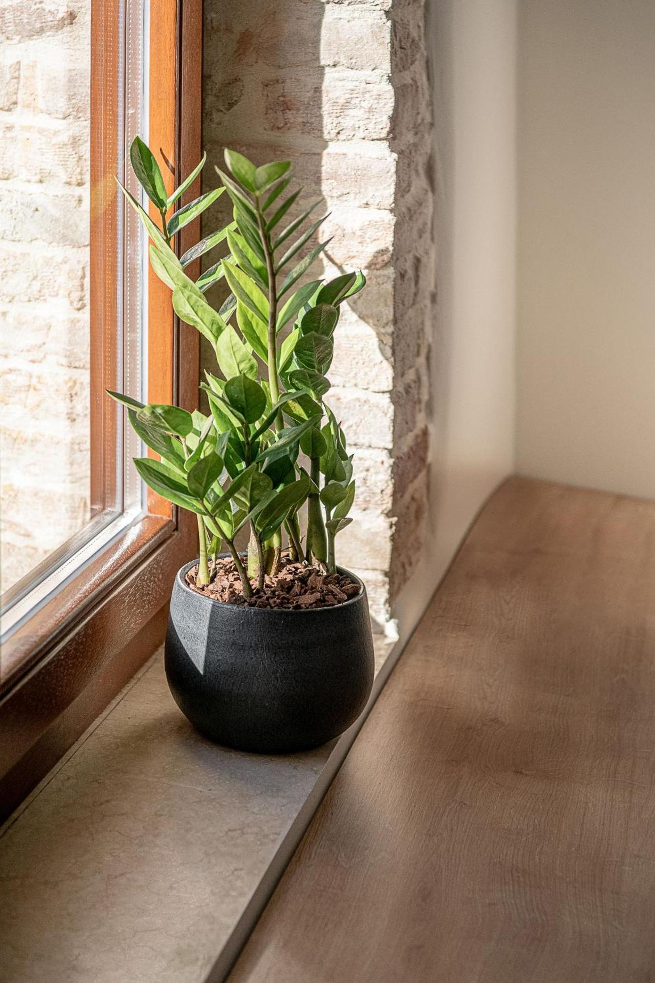 חאניה Ethos Suites חדר תמונה